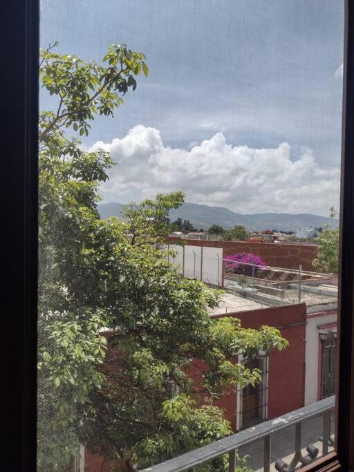 דירות M1010 Agradable Departamento Centrico En Oaxaca מראה חיצוני תמונה